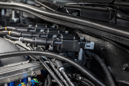 Buick Grand National Holley Kit - Complete Engine Harness, Injector Harness, Ignition Upgrade Kit