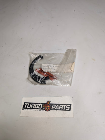Rear Main Seal