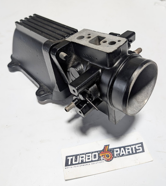 Plenum and Throttle Body