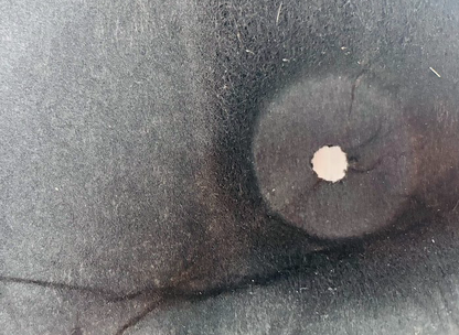 Factory Buick “Turbocharged” 9-Hole Hood Insulation Pad