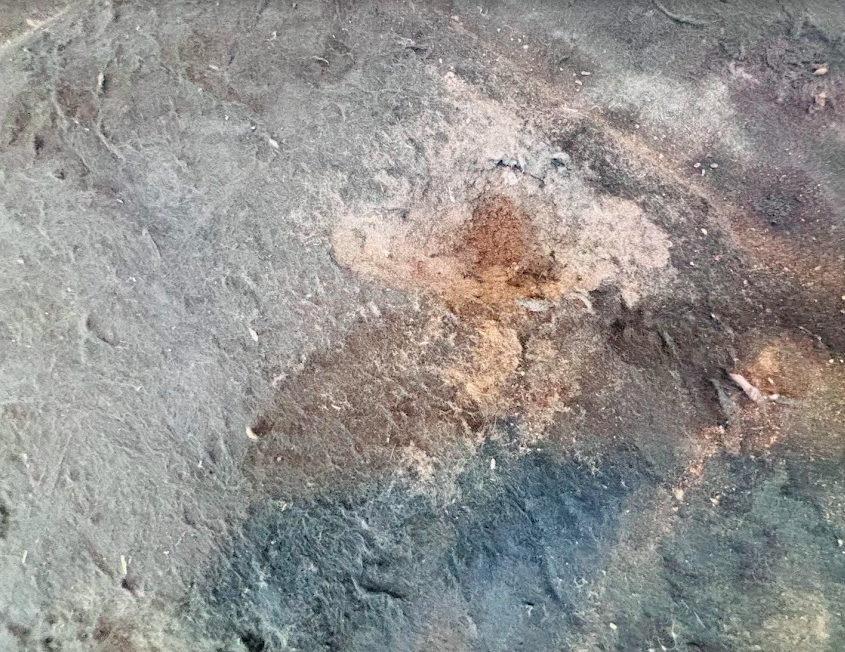 Factory Buick “Turbocharged” 9-Hole Hood Insulation Pad