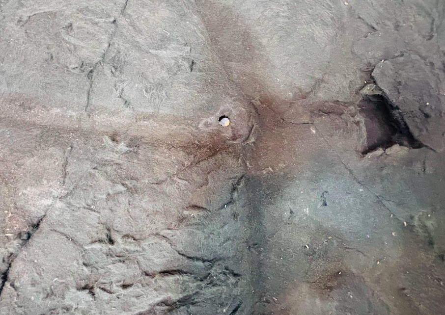 Factory Buick “Turbocharged” 9-Hole Hood Insulation Pad