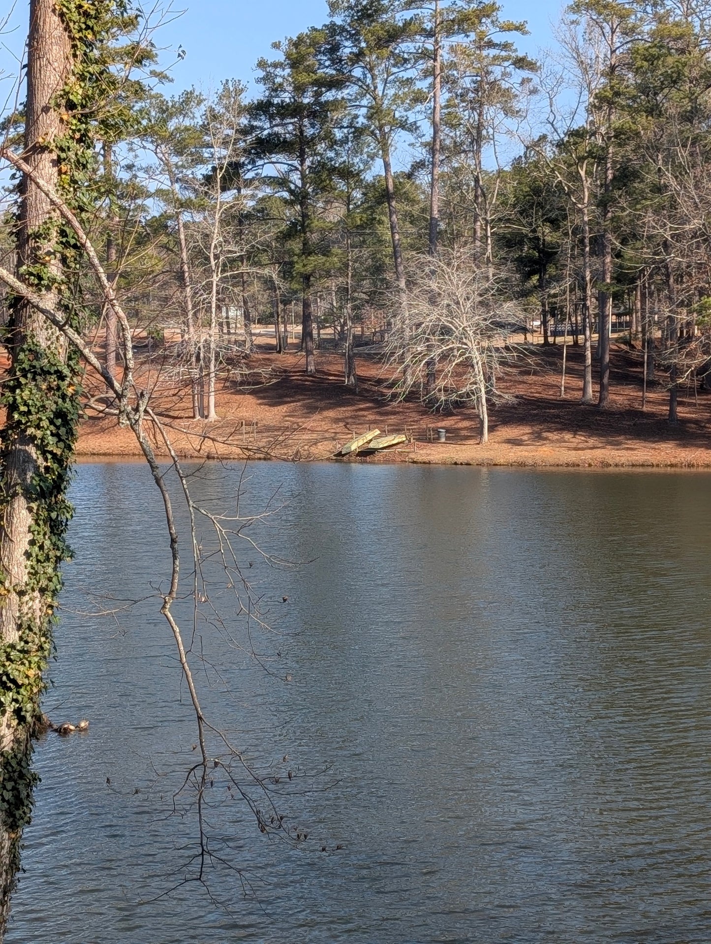 Turbo Buick Community Day - Pre Order Your Ticket To Reserve Parking - Q1 2026