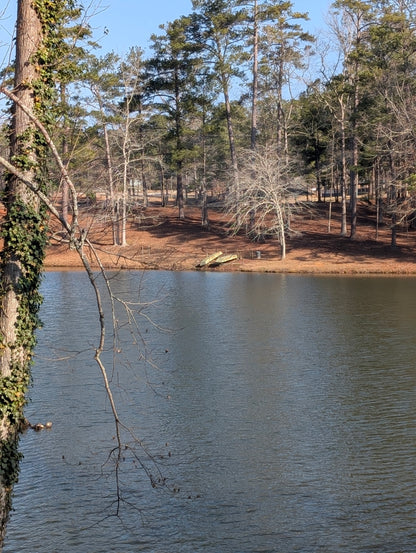 Turbo Buick Community Day - Pre Order Your Ticket To Reserve Parking - Q1 2026