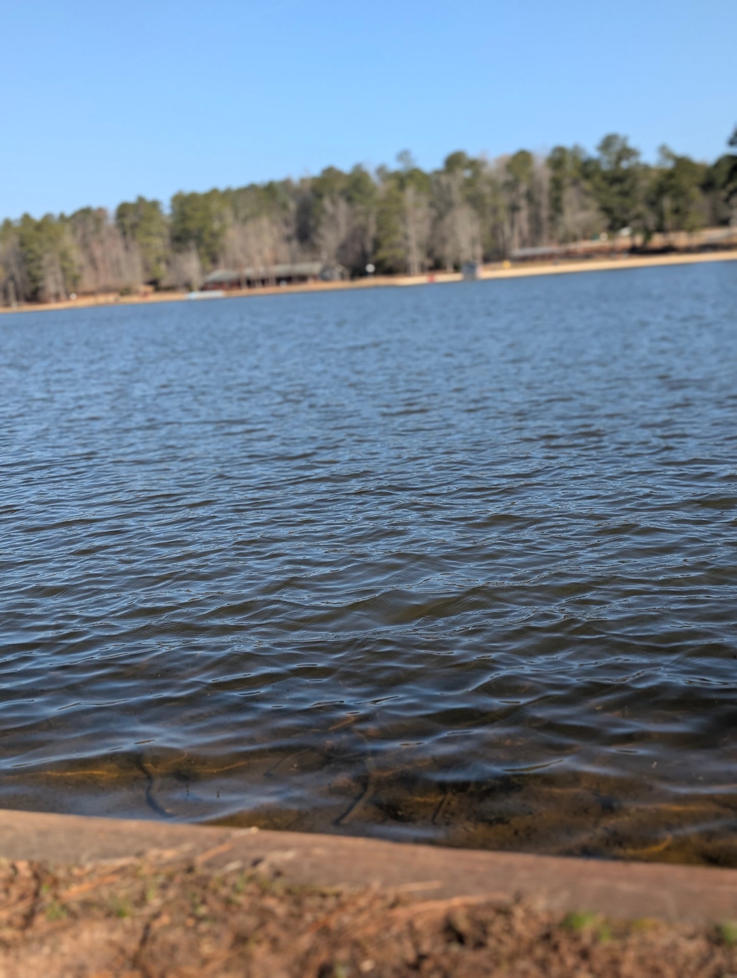 Turbo Buick Community Day - Pre Order Your Ticket To Reserve Parking - Q1 2026