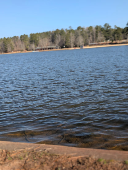 Turbo Buick Community Day - Pre Order Your Ticket To Reserve Parking - Q1 2026